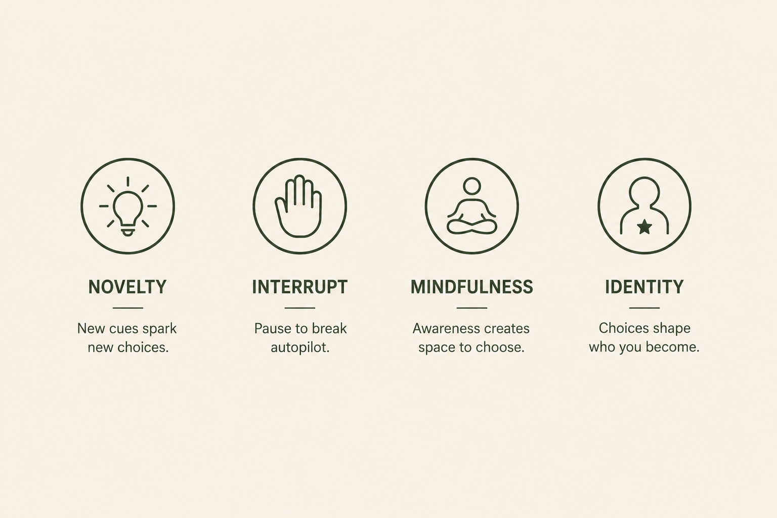 Novelty, Interrupt, Mindfulness, Identity